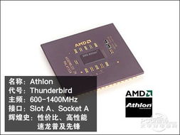 Intel也曾败过 回忆AMD史上的经典CPU与那段独特的转接卡时代